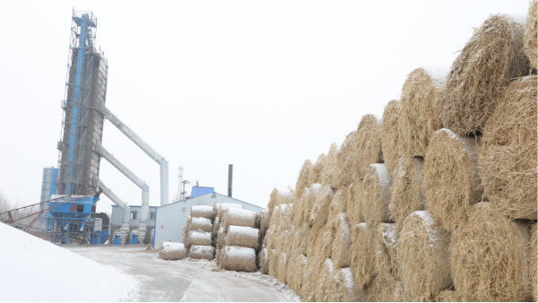 煤炭價(jià)格高，烘糧利潤低，吉林大安市500噸糧食烘干塔改用秸稈大包直燃鍋爐，每天省3萬